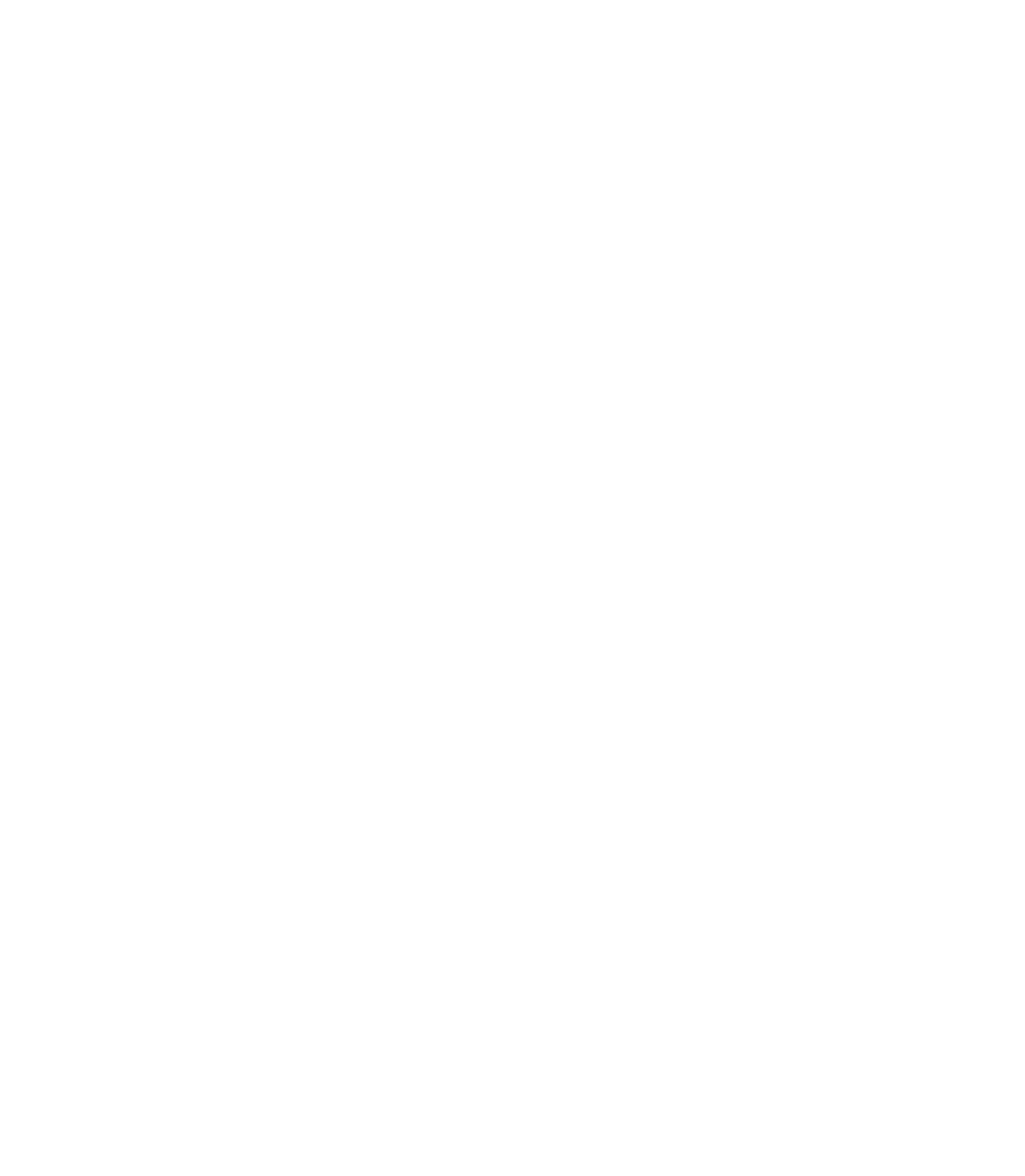 Fab WMS - True Sparrow