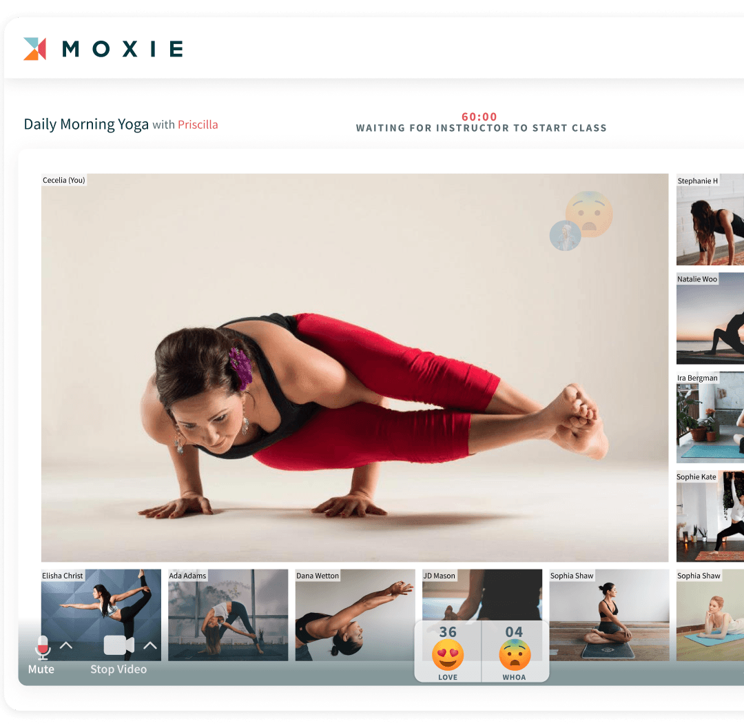 Moxie Scalling - True Sparrow