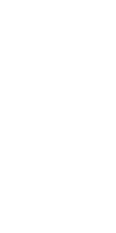 OST Ellipse - True Sparrow