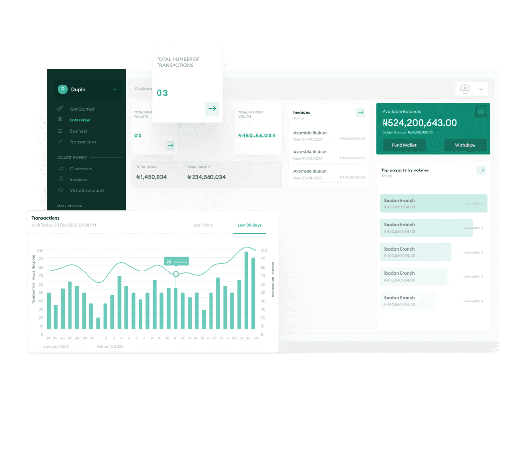 Duplo Portfolio - True Sparrow