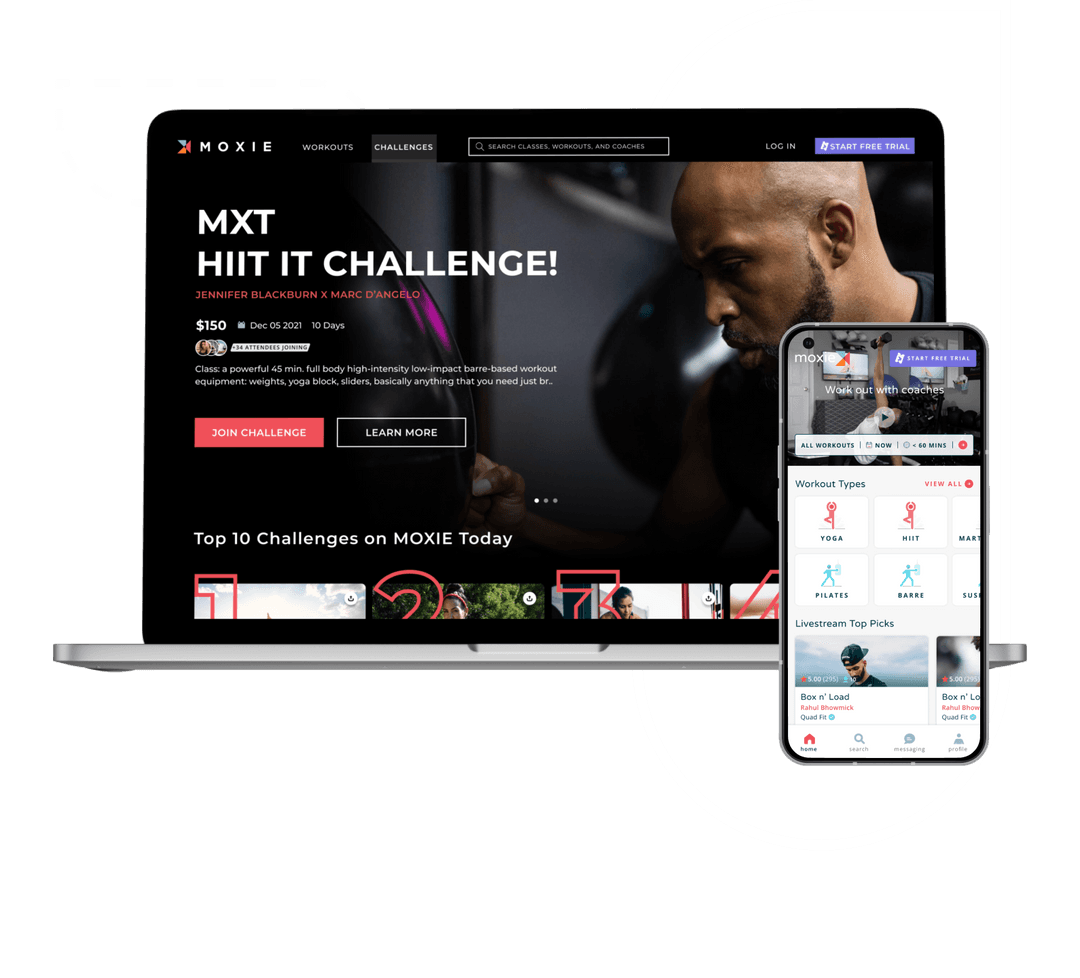 Moxie Portfolio - True Sparrow