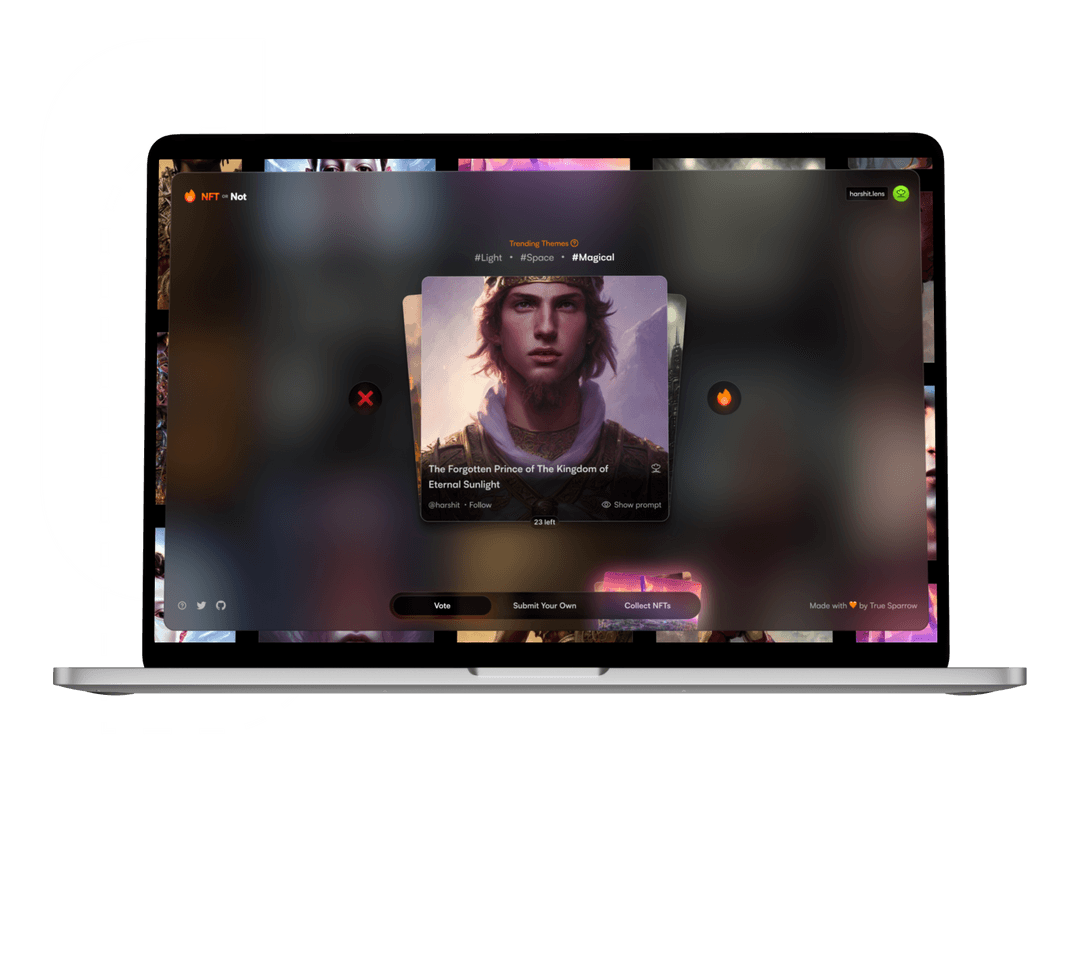 NFT or NOT Portfolio - True Sparrow