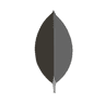 MongoDB
