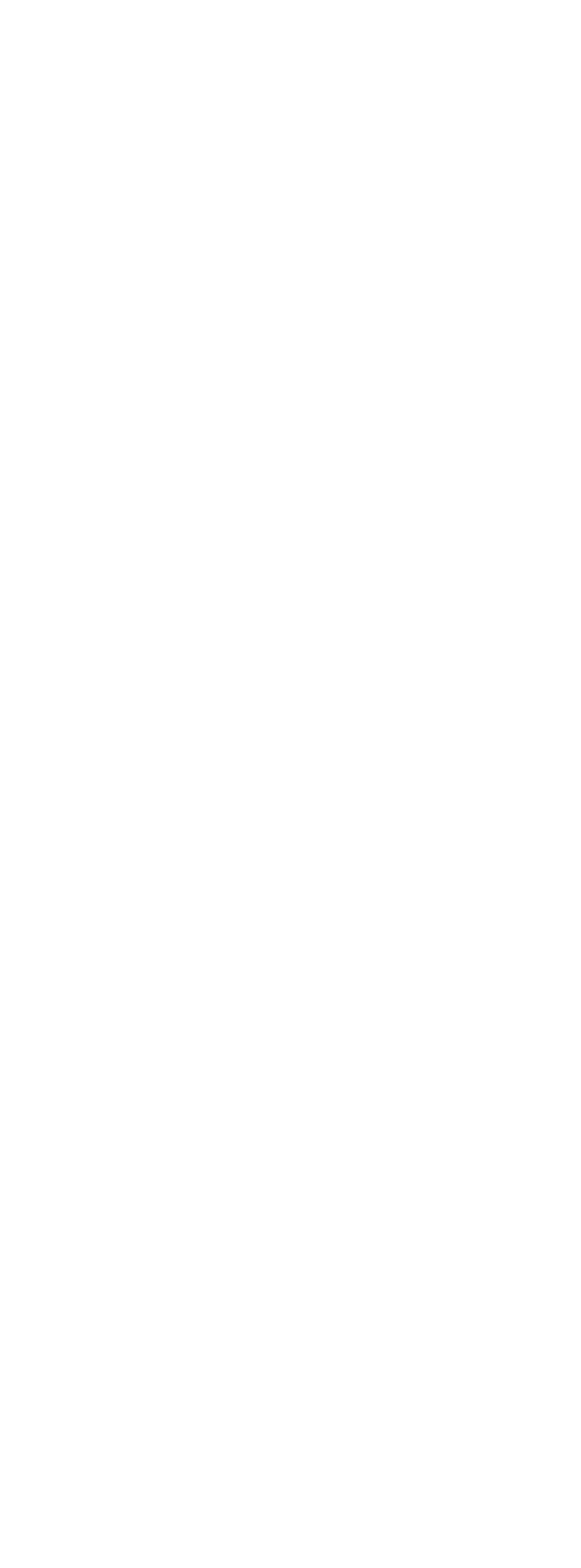 NFT Rectangle Two - True Sparrow